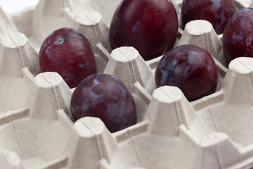 six purple plums in an egg cage
