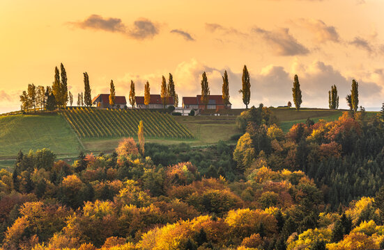 South styria vineyards landscape, Tuscany of Austria. Sunrise in autumn.