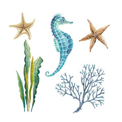 set of watercolor illustrations in a marine style on a white background, with star marine life, seahorse, seaweed hand painted © Lana