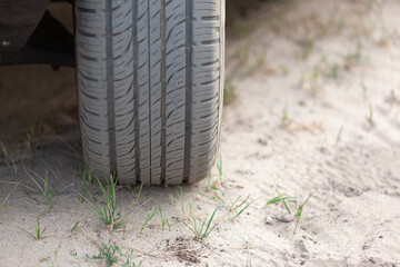 Fototapeta na wymiar Car wheel on sand, rare grass grows out of sand