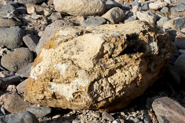 close-up of a rock on nature