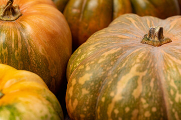 Background of a lot of colorful pumpkins