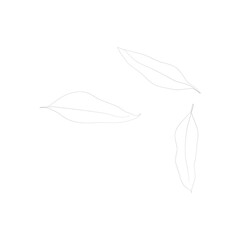 SINGLE-LINE DRAWING:3 Leaves, Botanical 29. This hand-drawn, continuous, line illustration is part of a collection inspired by the drawings of Picasso. Each gesture sketch was created by hand.