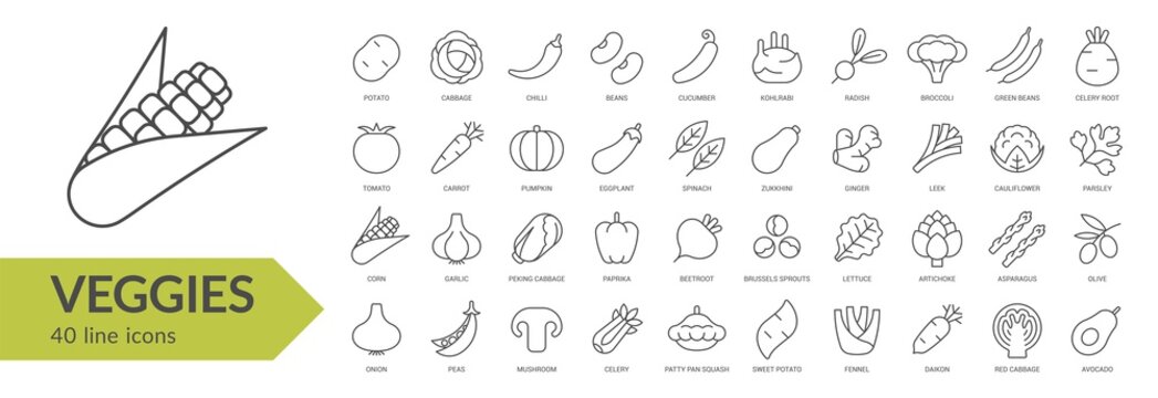 Veggies line icon set. Isolated signs on white background. Vector illustration. Collection
