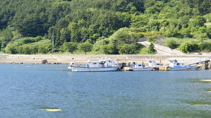 a ship anchored in the sea and a forest seen behind it.

