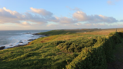 Obraz premium 멜버른 경관