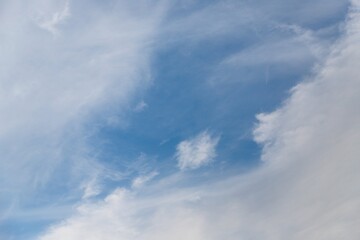 Naklejka na ściany i meble Cirrocumulus clouds in the light blue sky background