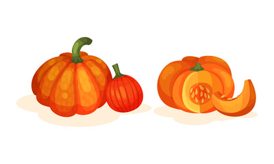 Round Pumpkin with Cut Section Showing Seeds and Pulp Vector Set