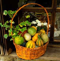 basket with small decorative pumpkins and flowers