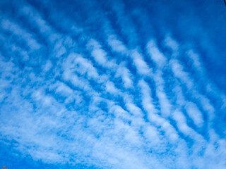 clouds like furrows against the blue sky