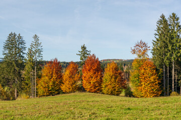 Fototapeta premium Autumn in the mountains
