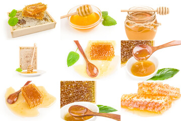 Set of Honey bee isolated on a white background cutout