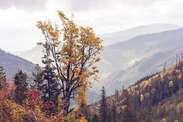 Autumn mountains