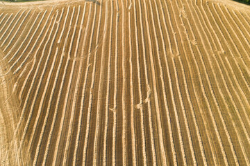 Scenic abstract agricultural fields. Aerial view.