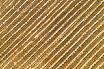 Scenic abstract agricultural fields. Aerial view.