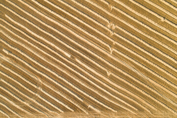 Scenic abstract agricultural fields. Aerial view.