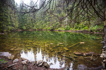 Lake in Carpathian mountains