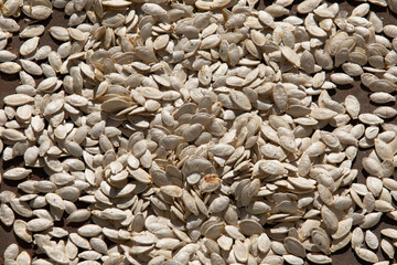 watermelon seeds dry in the sun, many seeds
