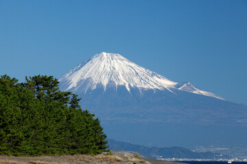 三保の松原と富士山