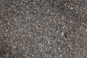 Asphalt road surface texture, close shot