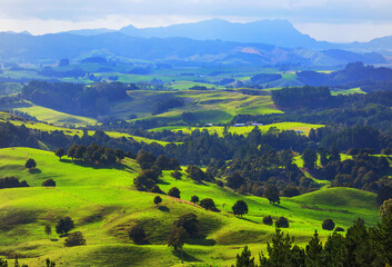 New Zealand hills