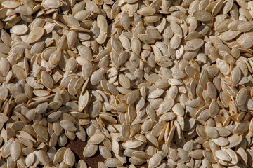 watermelon seeds dry in the sun, many seeds