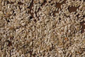 pumpkin seeds lie in the sun