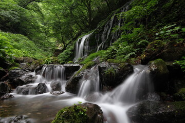 Fototapeta na wymiar 群馬県・白水の滝 (日本の滝)