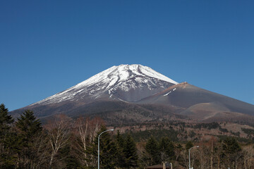 Fototapeta premium 水ケ塚公園からの富士山