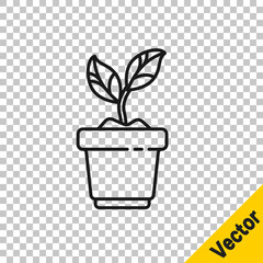 Black line Plant in pot icon isolated on transparent background. Plant growing in a pot. Potted plant sign. Vector Illustration.