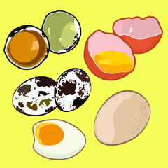 set of quail and chiken eggs