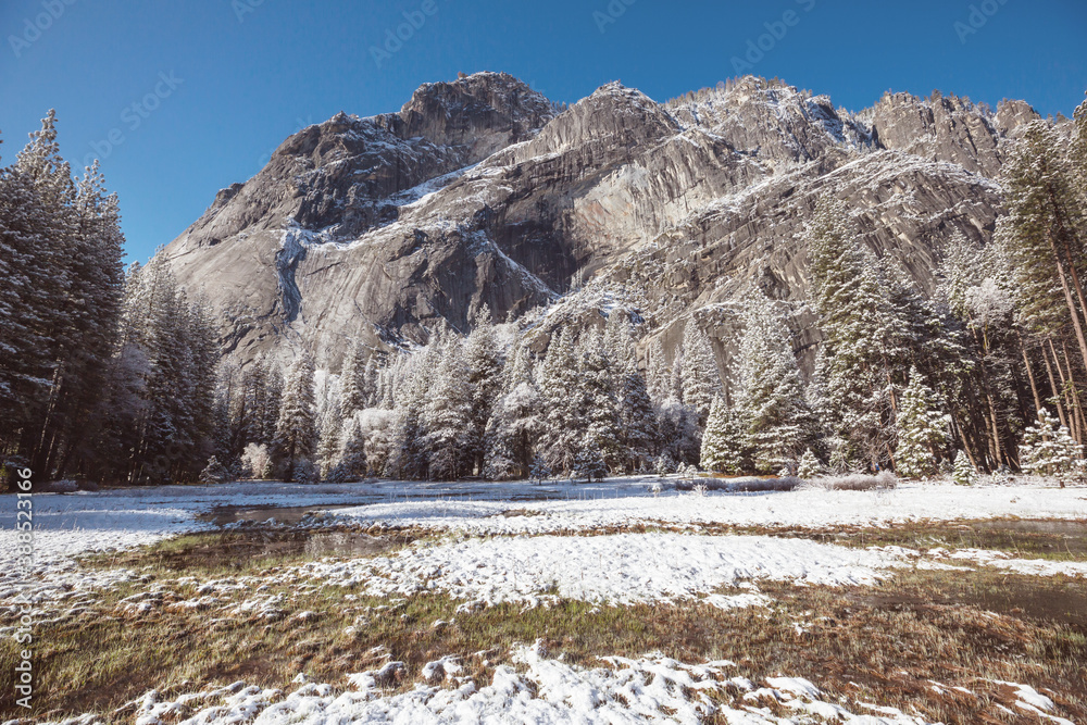 Canvas Prints winter in yosemite