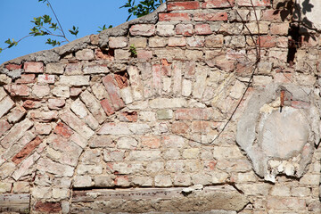 Ruine und Mauerreste eines verfallenen Hauses, Bad Doberan, Mecklenburg-Vorpommern, Deutschland, Europa