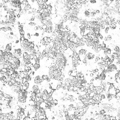 8K coral mud roughness texture, height map or specular for Imperfection map for 3d materials, Black and white texture