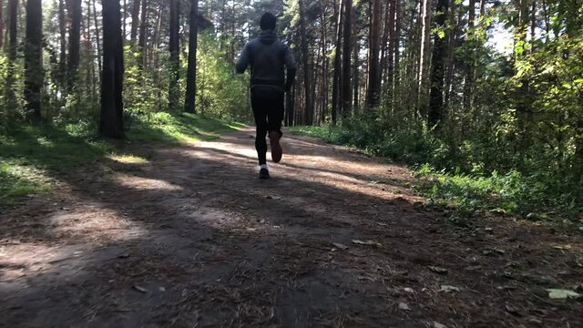 Male athlete runs through the woods. Slow motion.