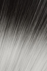 close up of texture of single piece clip in straight black to ash blonde ombre style synthetic hair extensions © Sixsmith