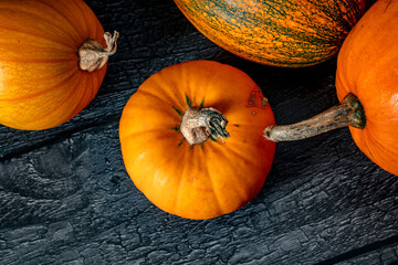 Autumnal Pumpkins