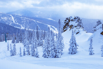 Sheregesh ski resort in Russia, located in Mountain Shoriya, Siberia. Winter landscape, trees in snow, clouds and big beautiful stone block