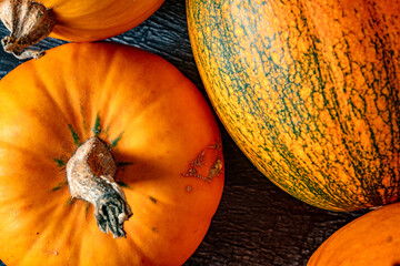 Autumnal Pumpkins