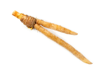 finger root or Chinese's Ginger isolated on the white background.