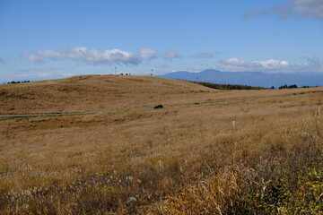 Obraz premium 快晴の野原