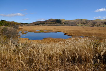 自然に広がる大池