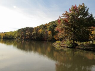 autumn trees reflected in water