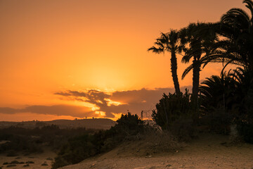 Fototapeta na wymiar Gran Canaria Sonnenuntergang