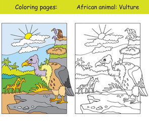 Coloring and color for children education vulture