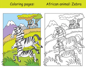 Coloring and color for children education zebra