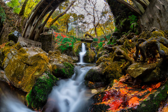 Kaz Mountains / Ayazma Recreation Area - Canakkale