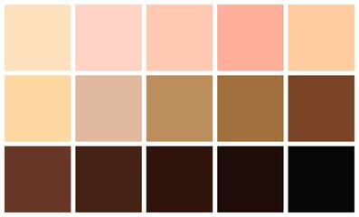 Human skin tones color palette set. Skin color from the lightest to darkest brown hues, coloring of a person face and body complexion. Vector illustration