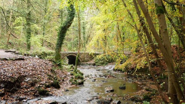 Autumn season woodland flowing forest creek lush foliage under stone arch bridge