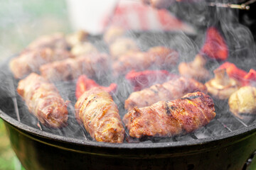 grilled meat on the grill